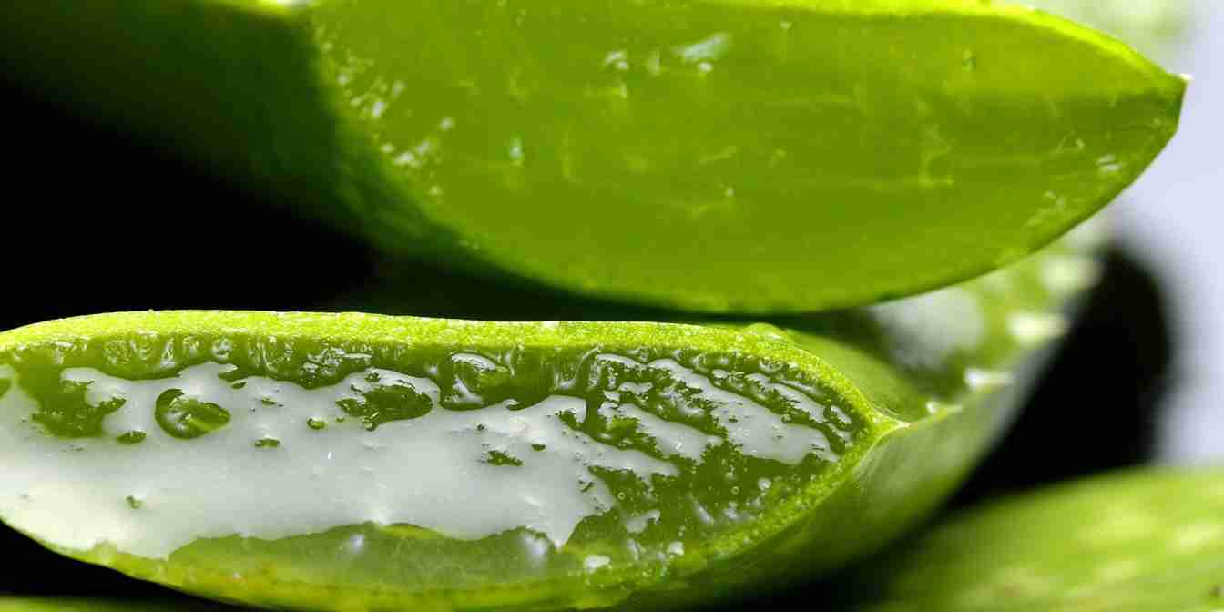 aloevera gel