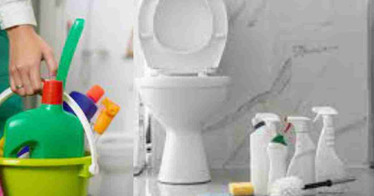 DIy technique to clean toilet