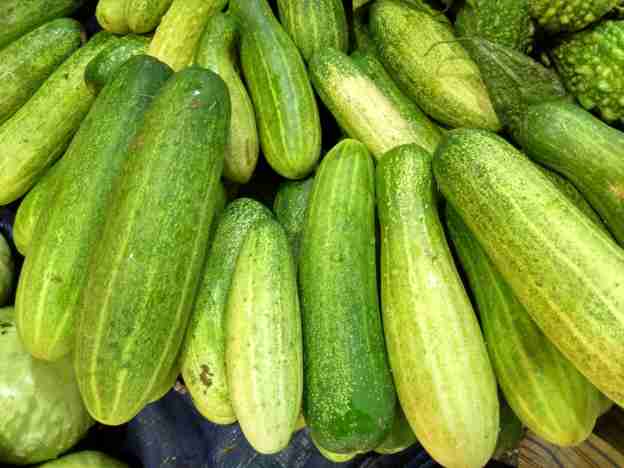 benefits of eating cucumber