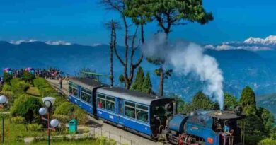 rush in ticket in darjeeling toy train